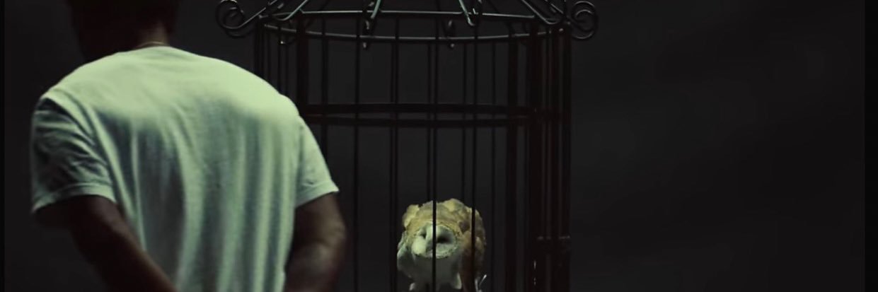 MoneyMan_Johnny's profile banner image