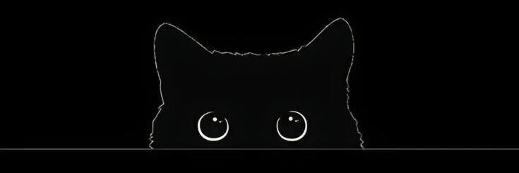 𝐻𝐴𝑅𝑃𝐸𝑅. banner