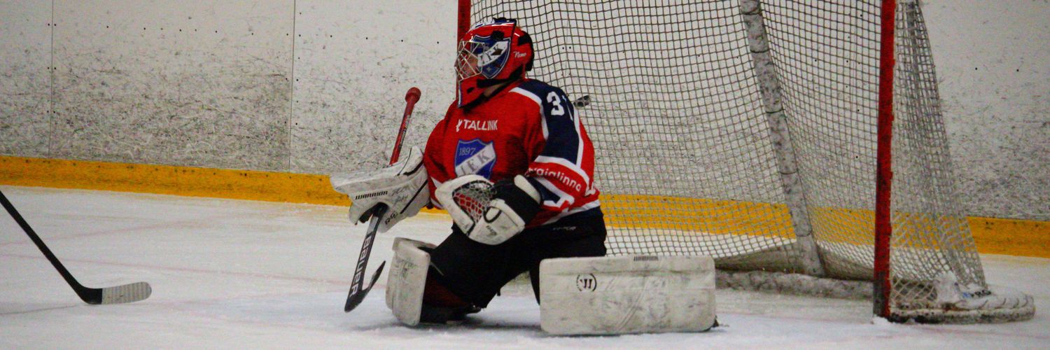 Timo Bergholm banner