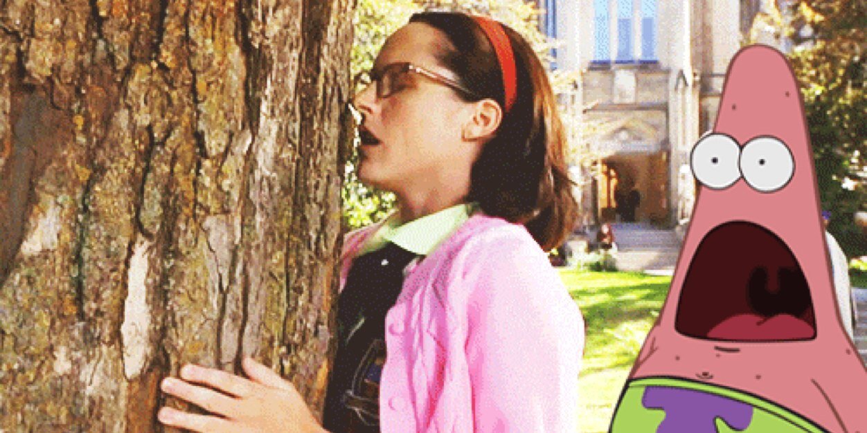 abbie_what's profile banner image