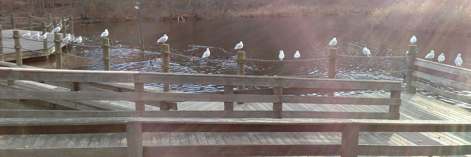 Peter Crossley banner