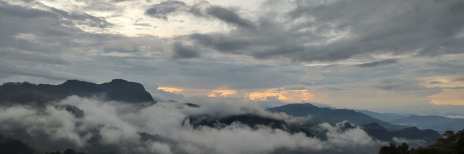 David Castiblanco M banner