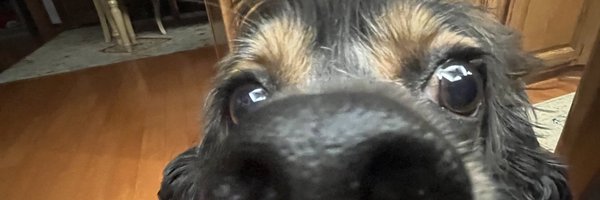 atlws Profile Banner