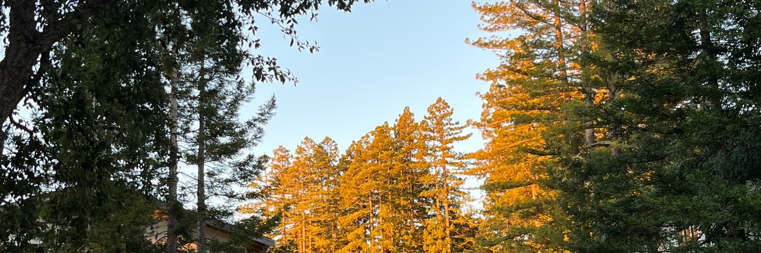 ama!! banner