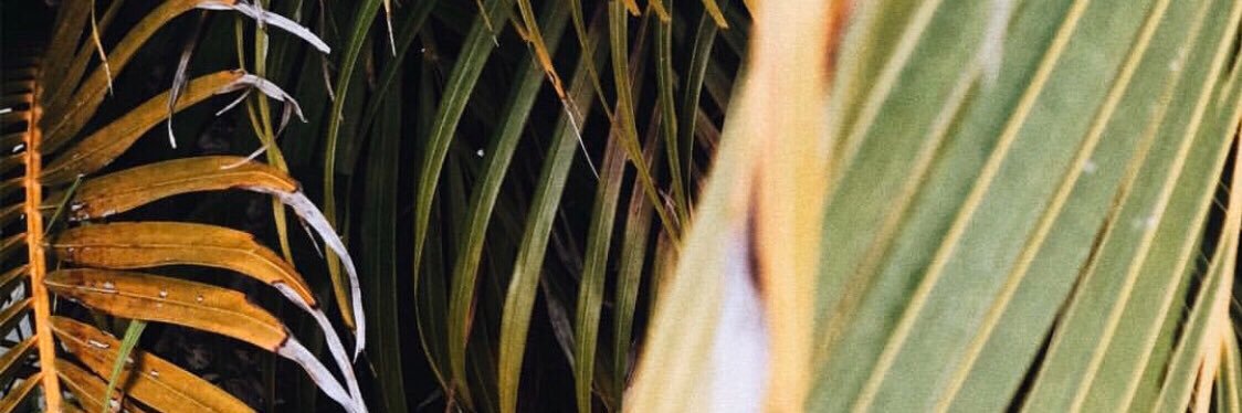 itswilliamhayes's profile banner image