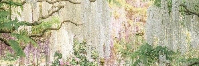 Han9393's profile banner image
