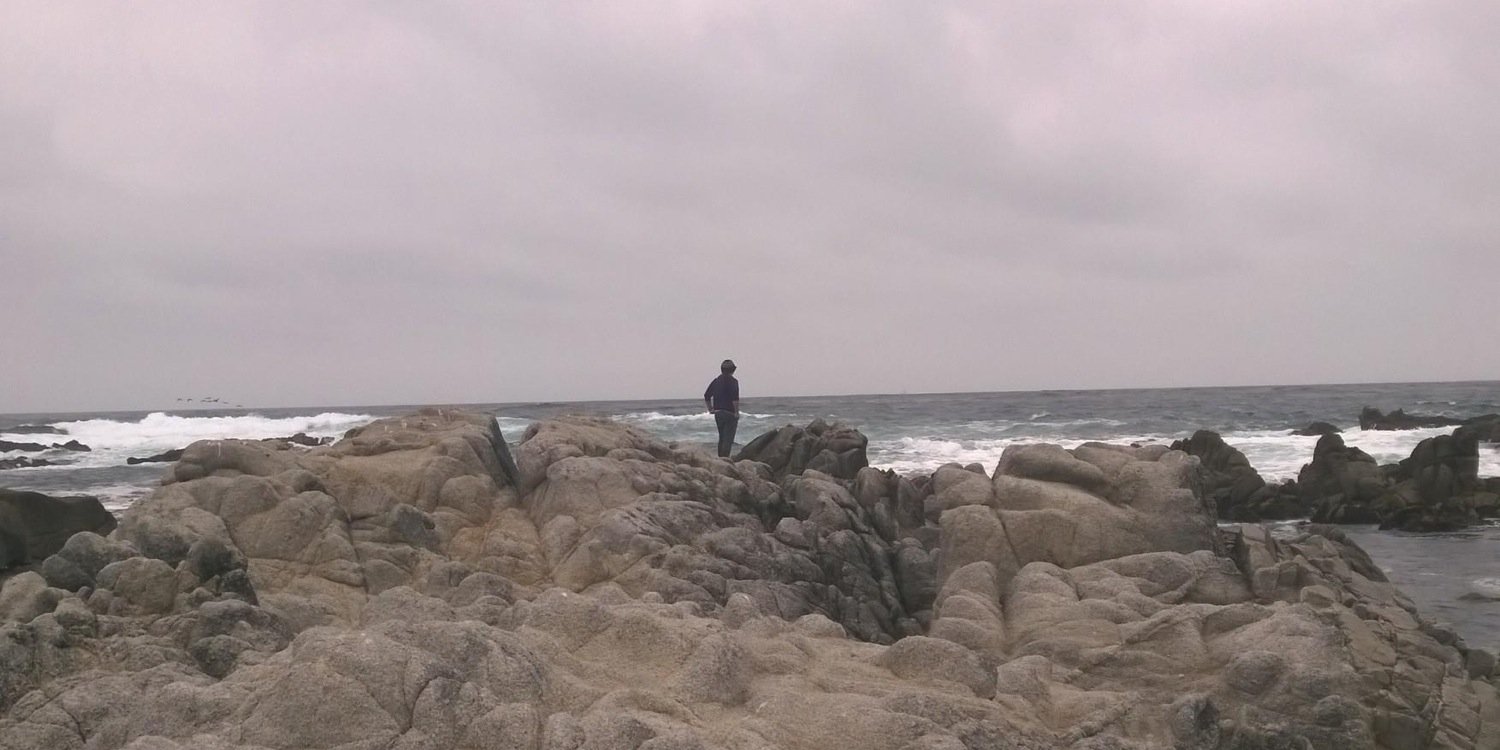 FoxOctopusACU's profile banner image