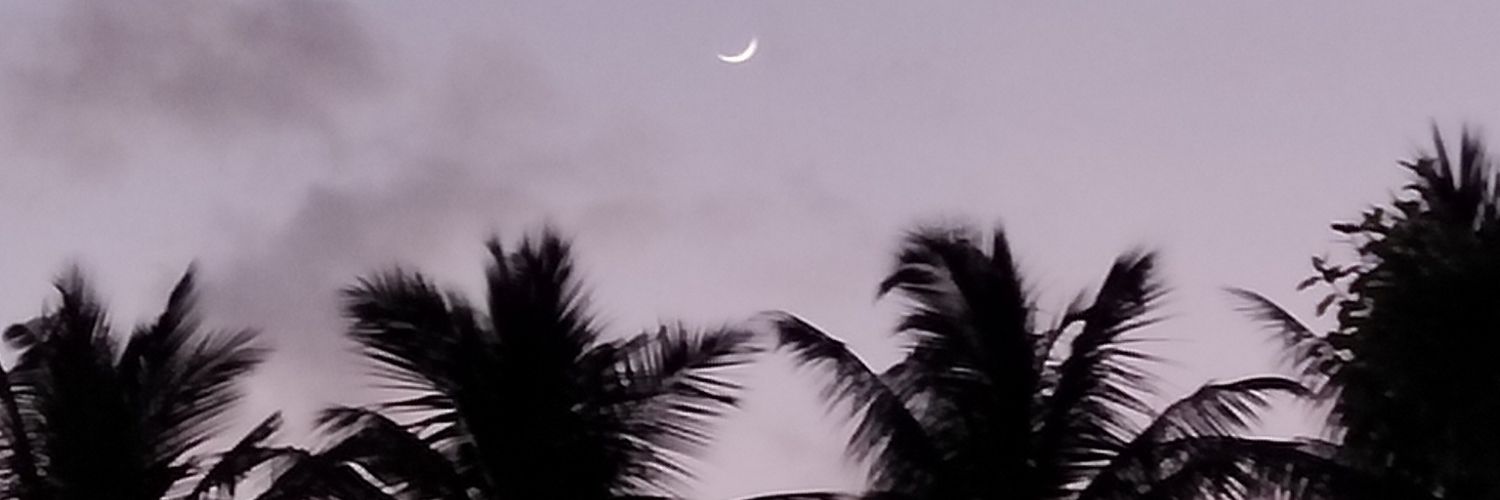 31_meher's profile banner image