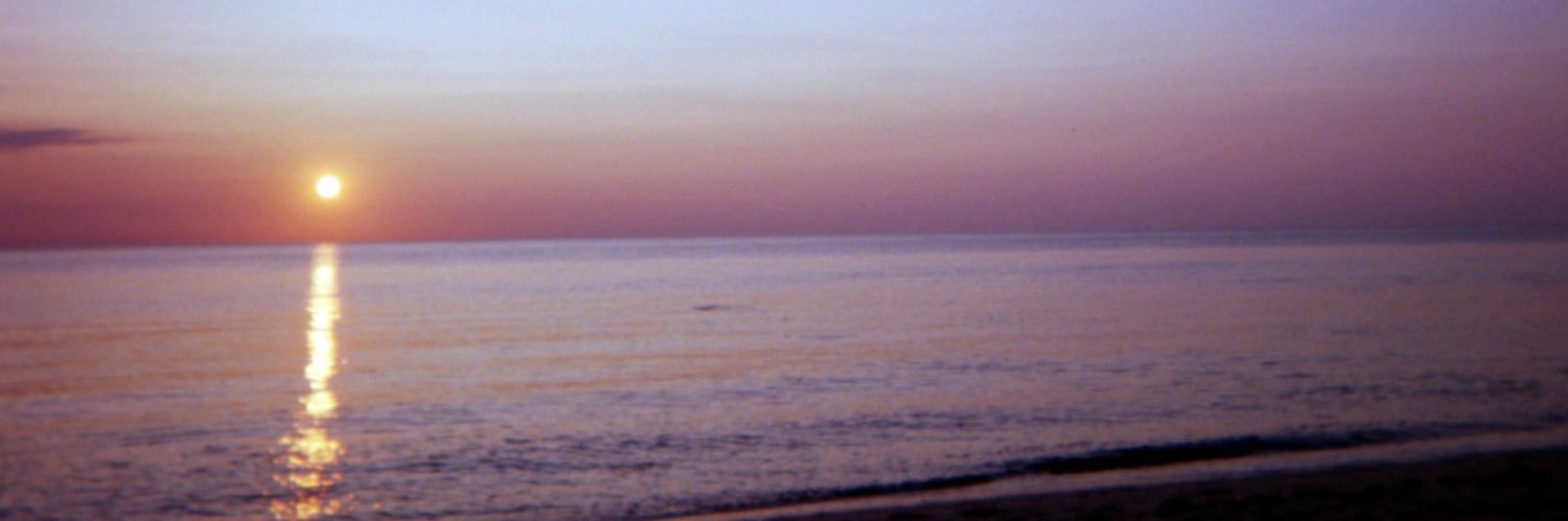 JulesMcAnulty's profile banner image