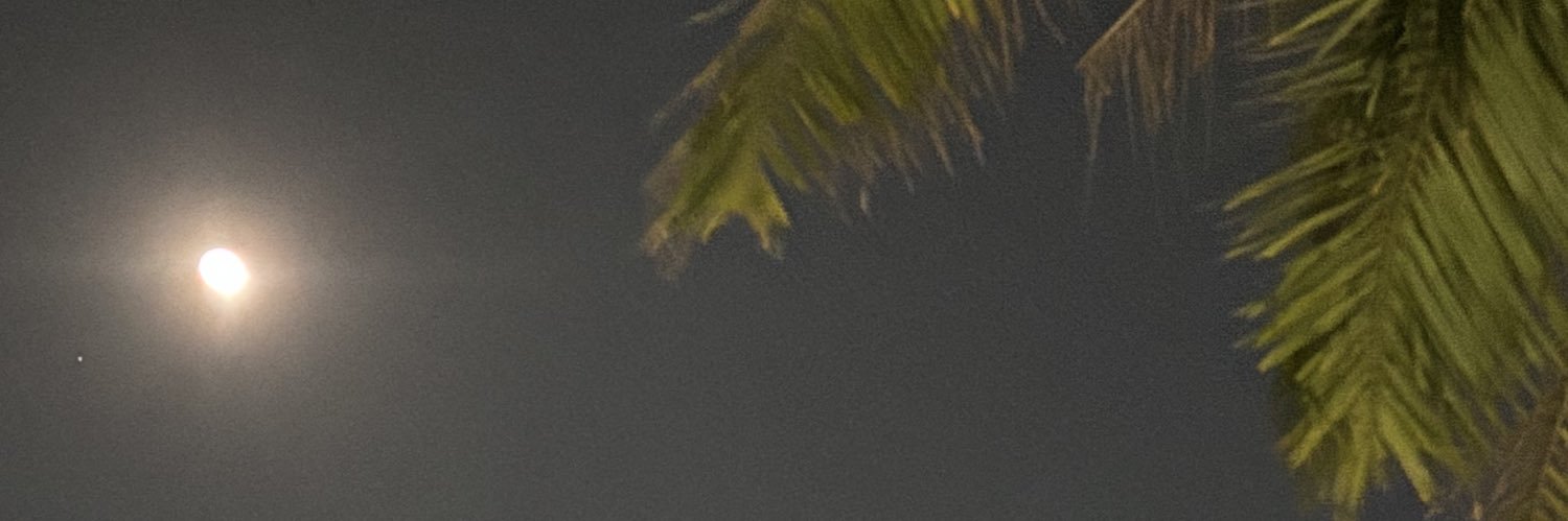 Danita banner
