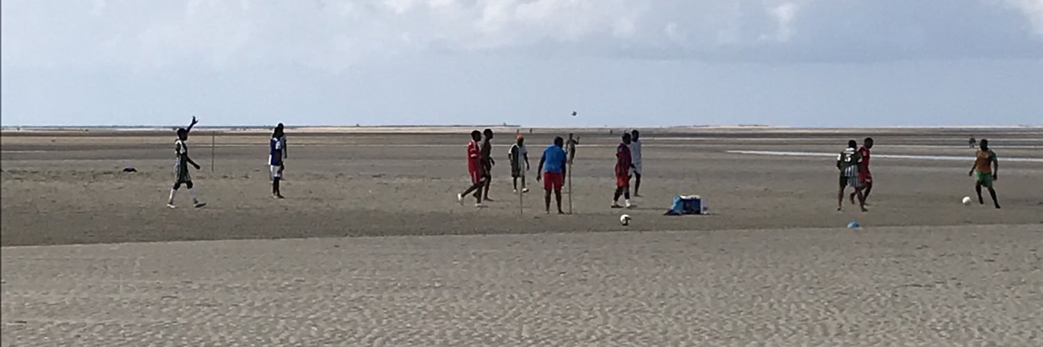 Giovanni Faleg banner