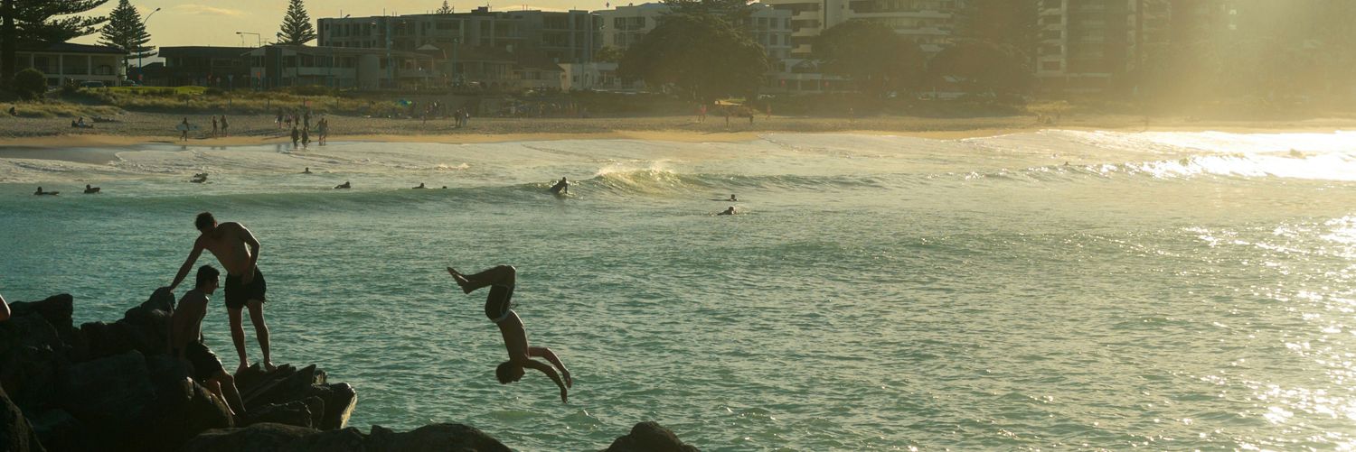 Nicolas Gombinsky banner