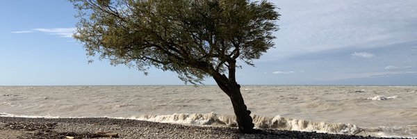 ShannonS Profile Banner