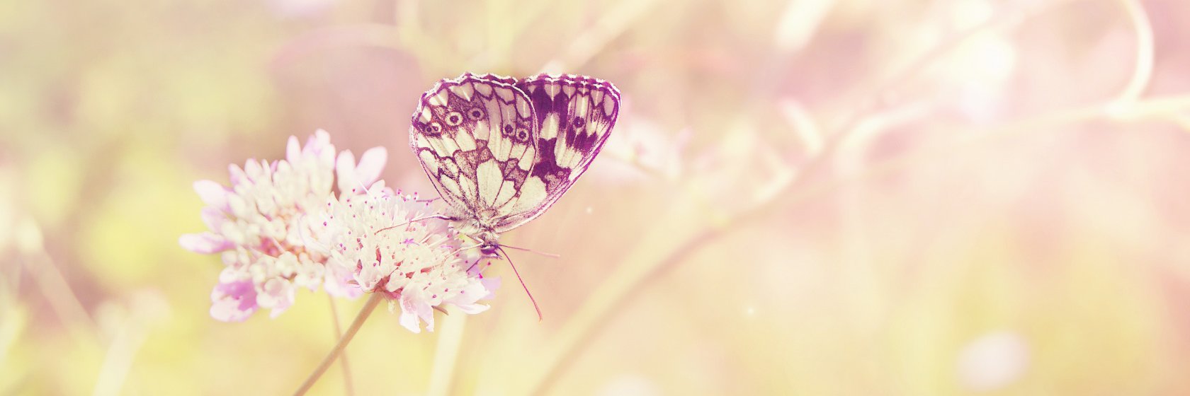 its_MichelleH's profile banner image