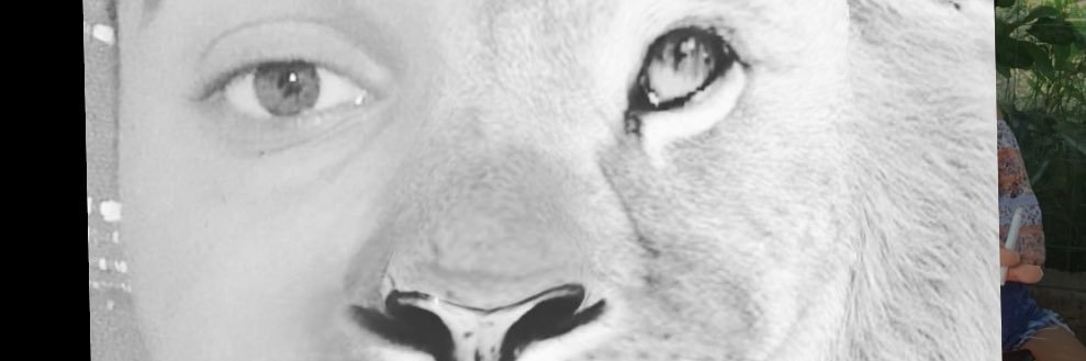 DiegoChristhoff's profile banner image