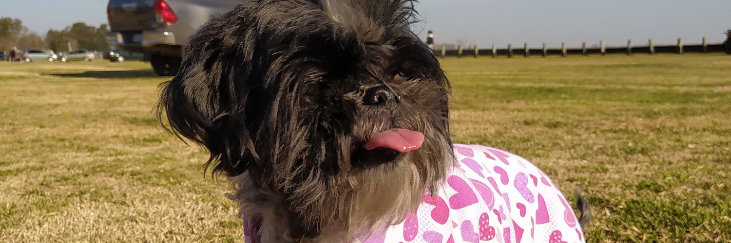 camilausejo's profile banner image