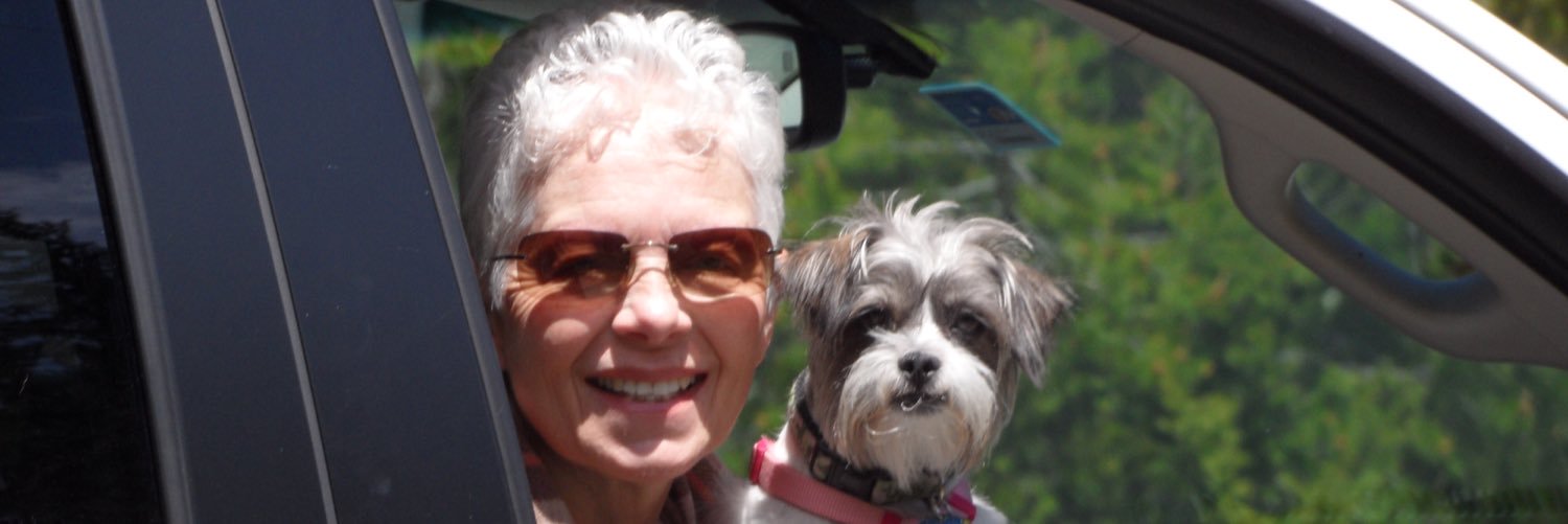 PattyMatula's profile banner image