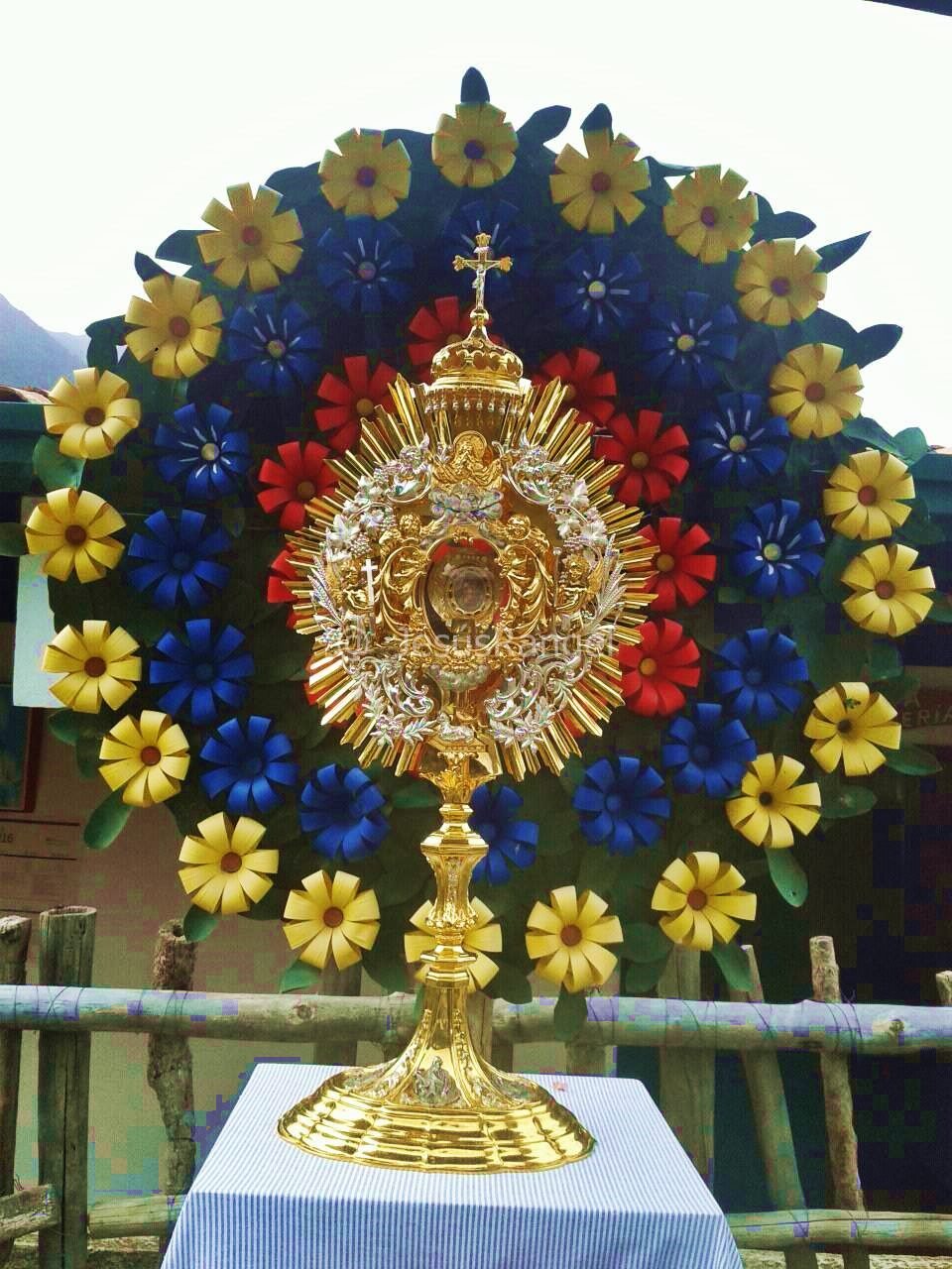 DIVINA VOLUNTAD banner