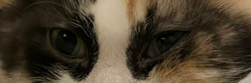 augstttttttty's profile banner image