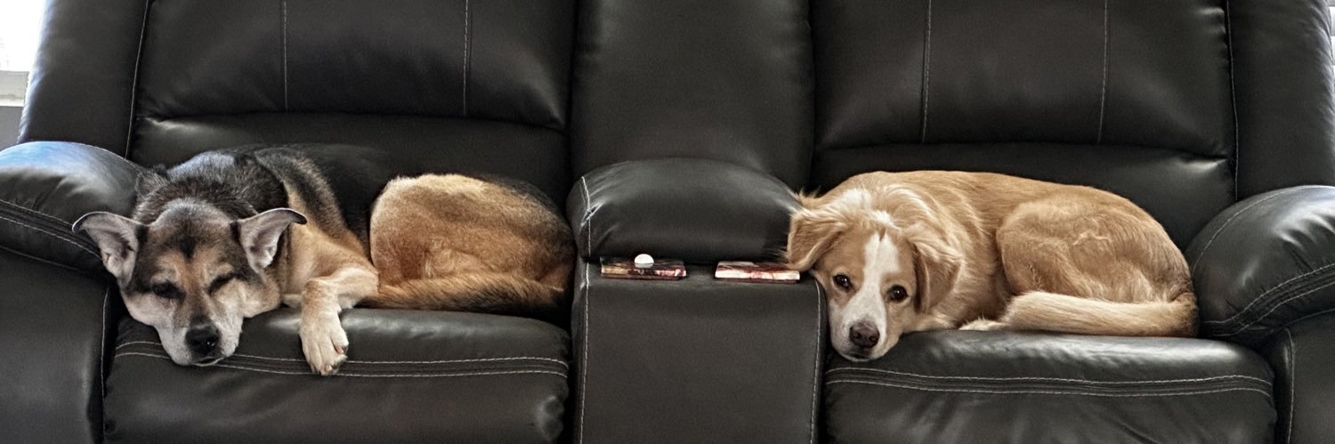 LauraDPugh's profile banner image