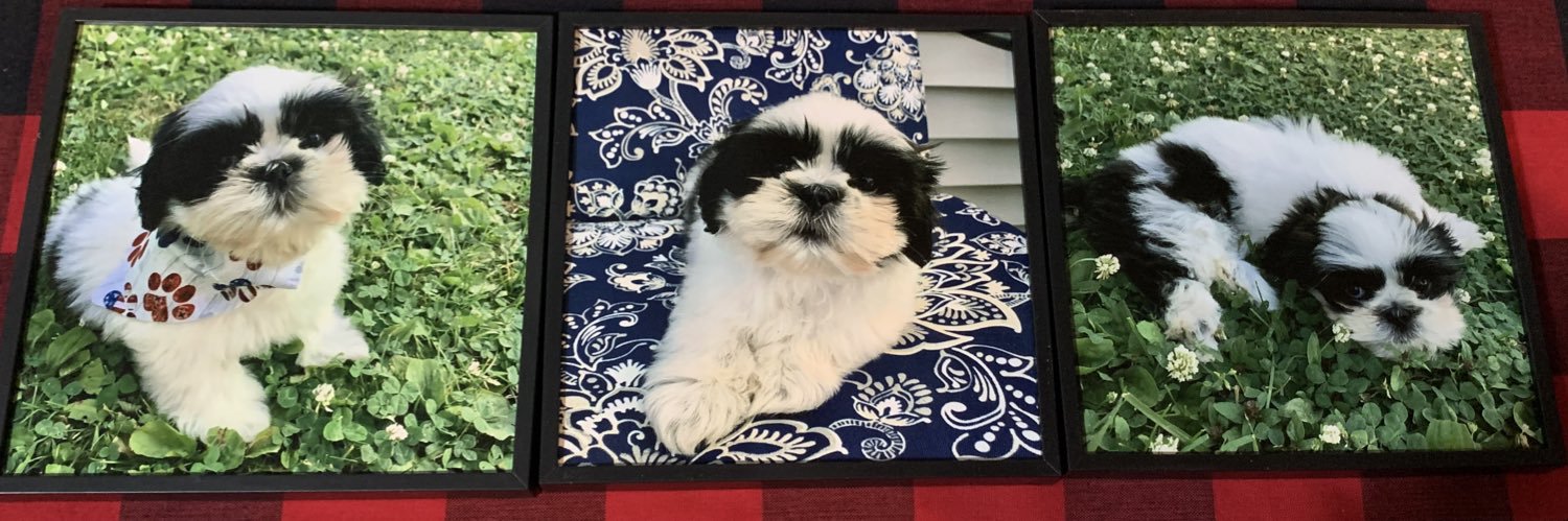 samanthaaa11's profile banner image