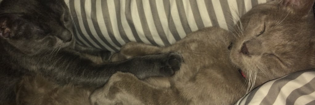 _JOEbananas's profile banner image