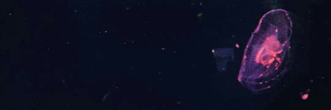 attachment_oso's profile banner image
