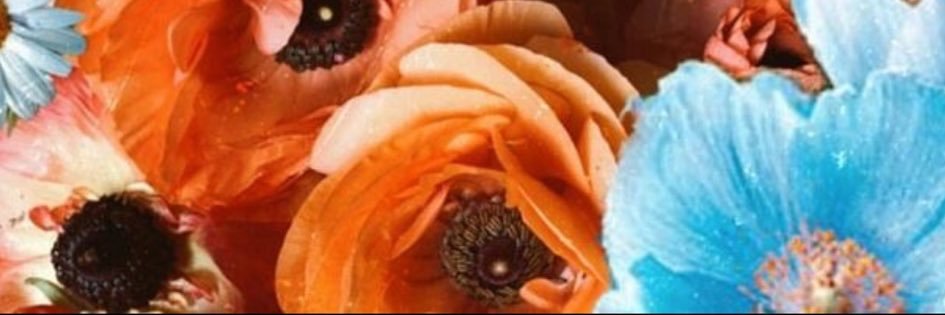 kaatielaurel's profile banner image
