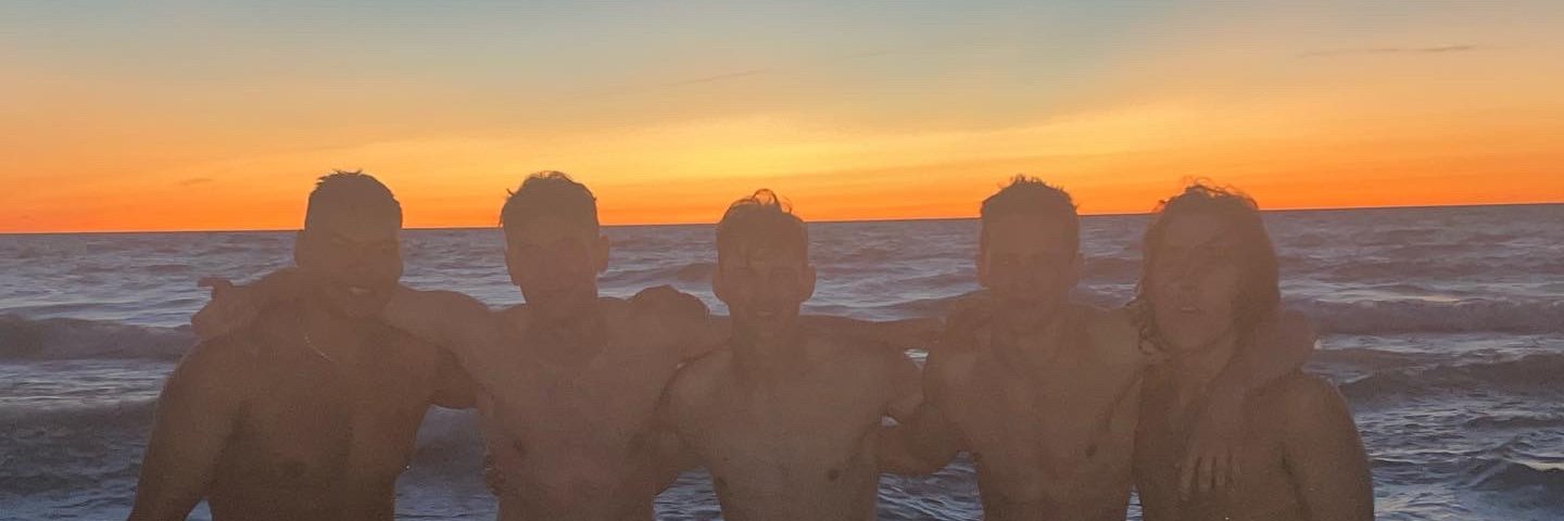 Alex Springer banner