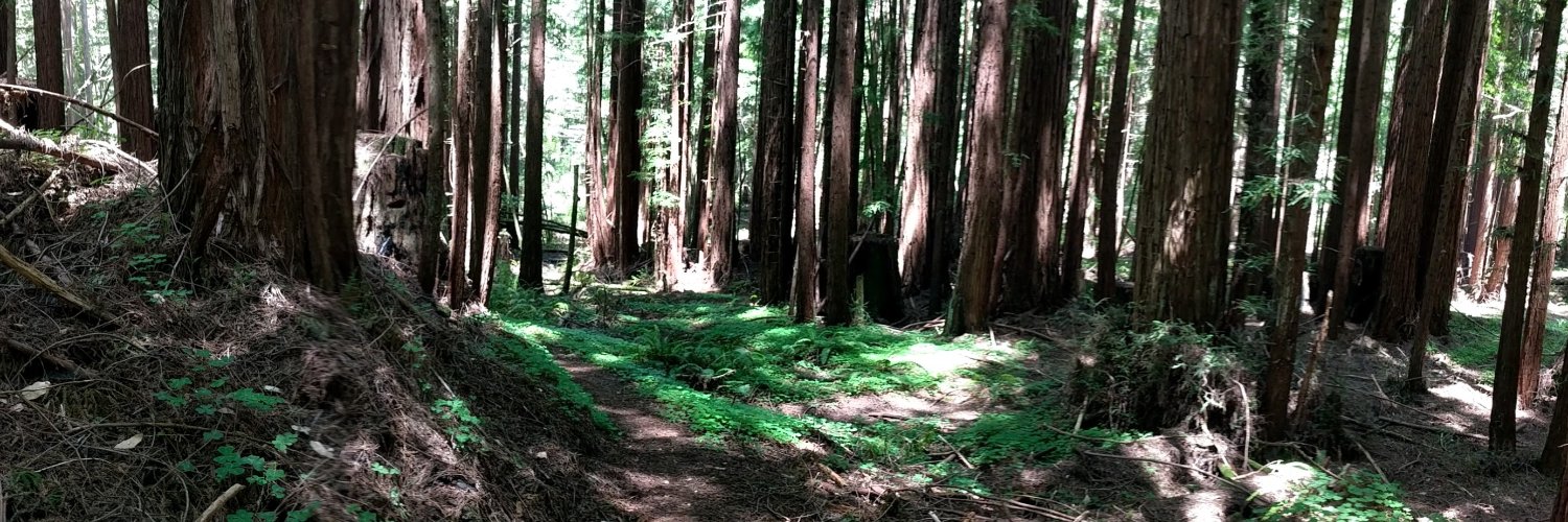 Alex 🦅 Eagle banner