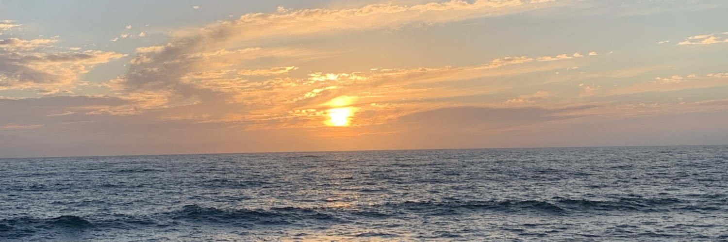byeeceleste's profile banner image