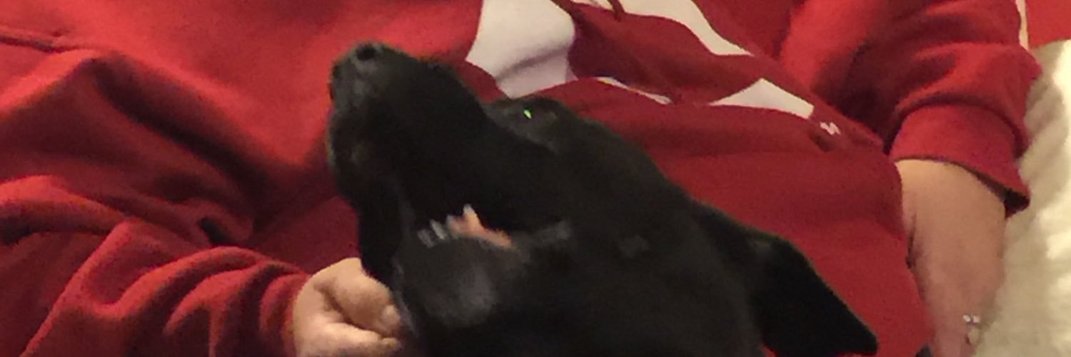 Brady Stephenson banner