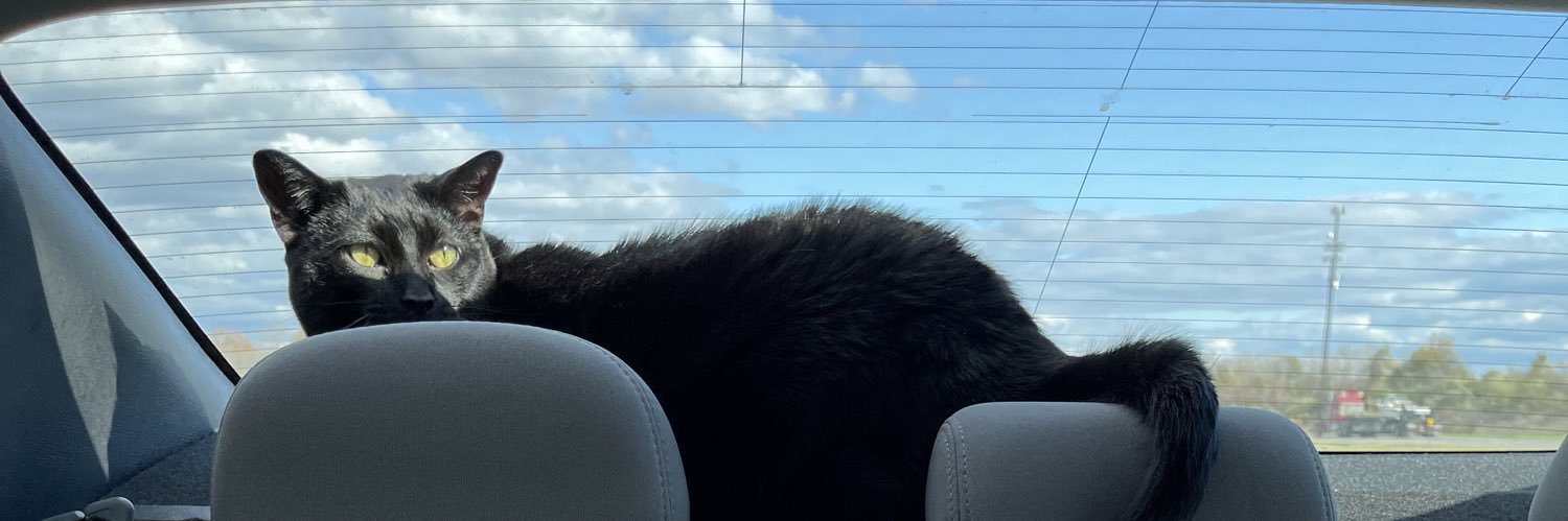 Perri_lynnn's profile banner image