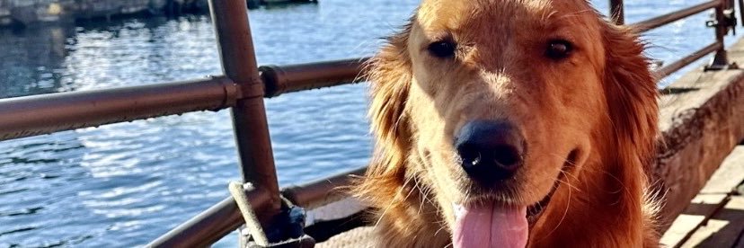 👉Kevin O'Keefe banner