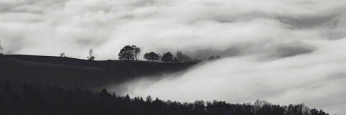 mburcham4588's profile banner image