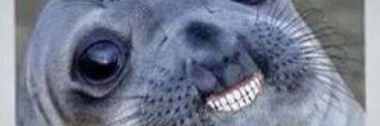 El_B4ndoler0's profile banner image