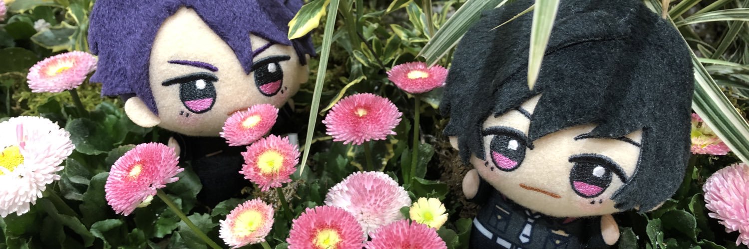 header image