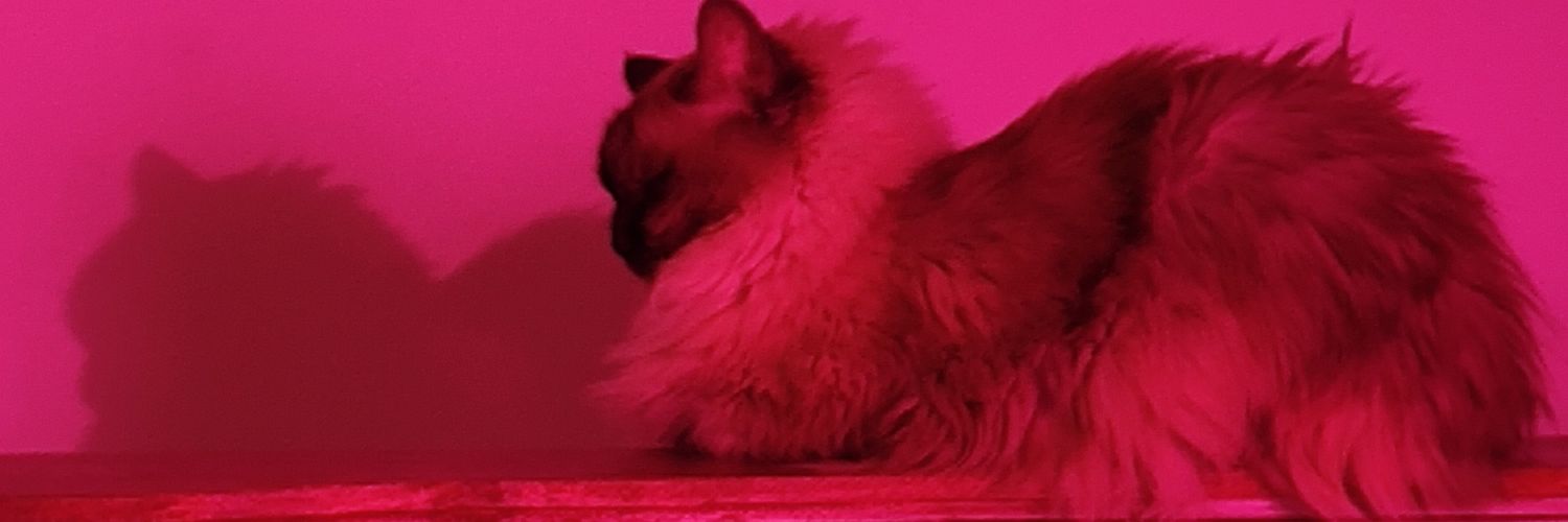marcelodematos's profile banner image