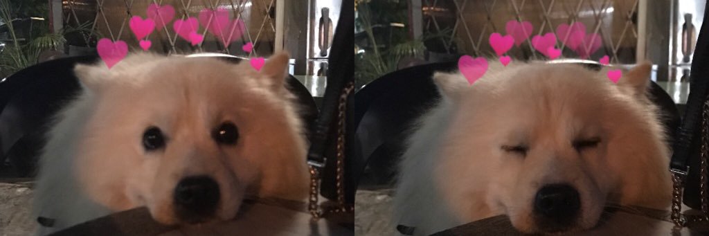 โลทอส banner