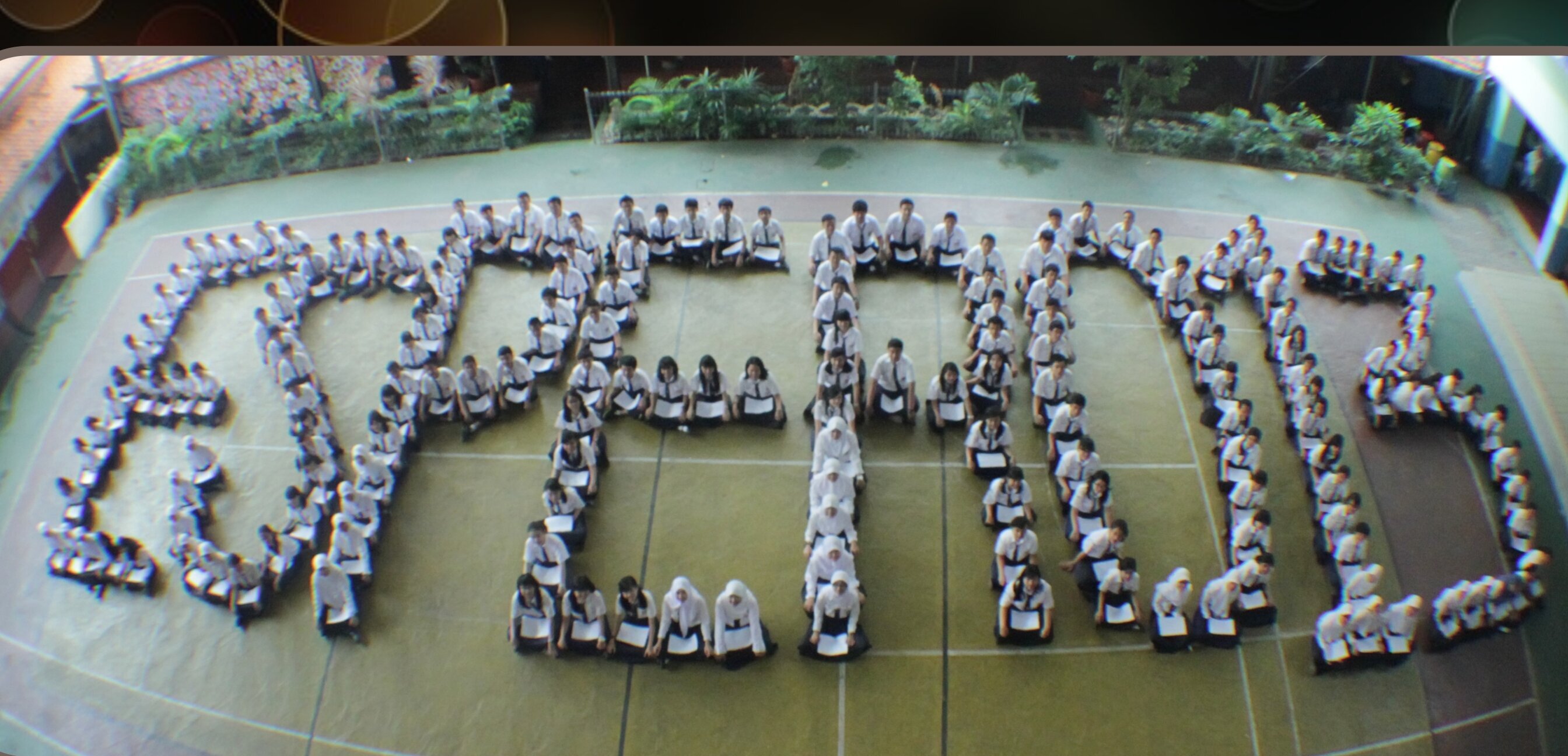 nisafjr's profile banner image