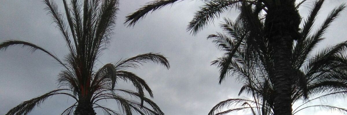 mayne31's profile banner image
