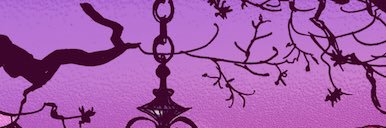 🍂 𝕔𝕙𝕠𝕔𝕠𝕝𝕒𝕥 🕷 banner