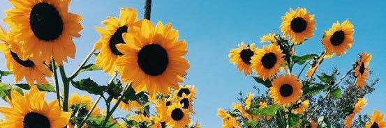 anggitwecay's profile banner image