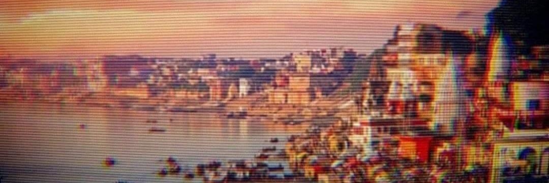 Voice of Hindus's banner