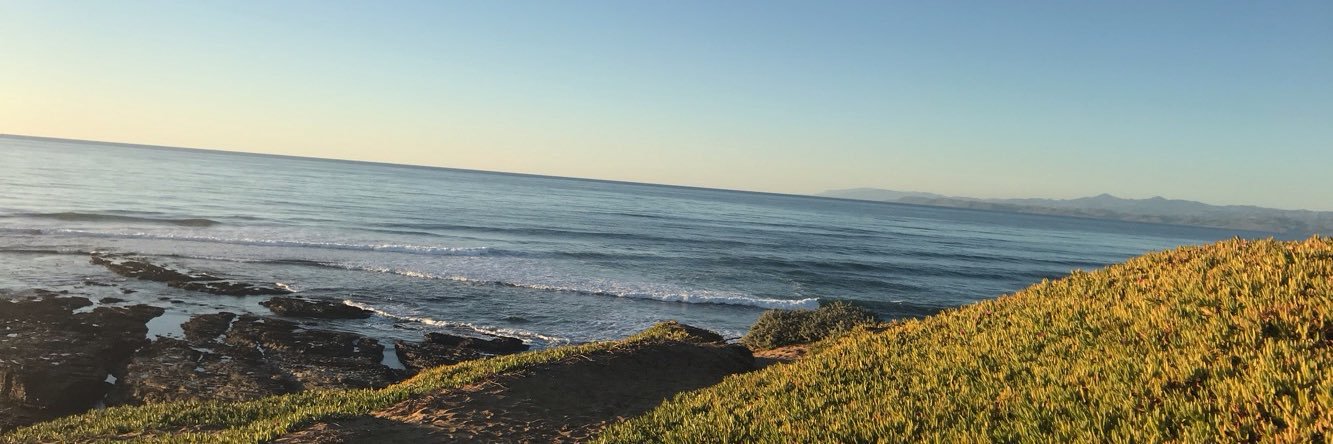 calynn_long's profile banner image
