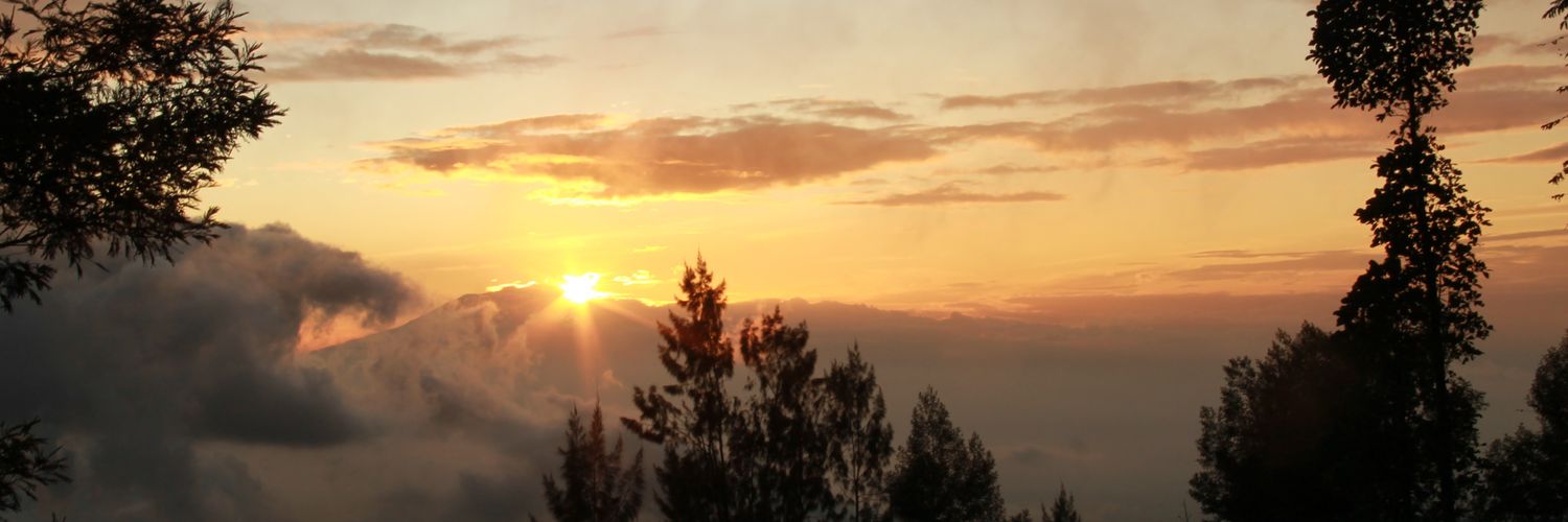 rio_leonardus's profile banner image