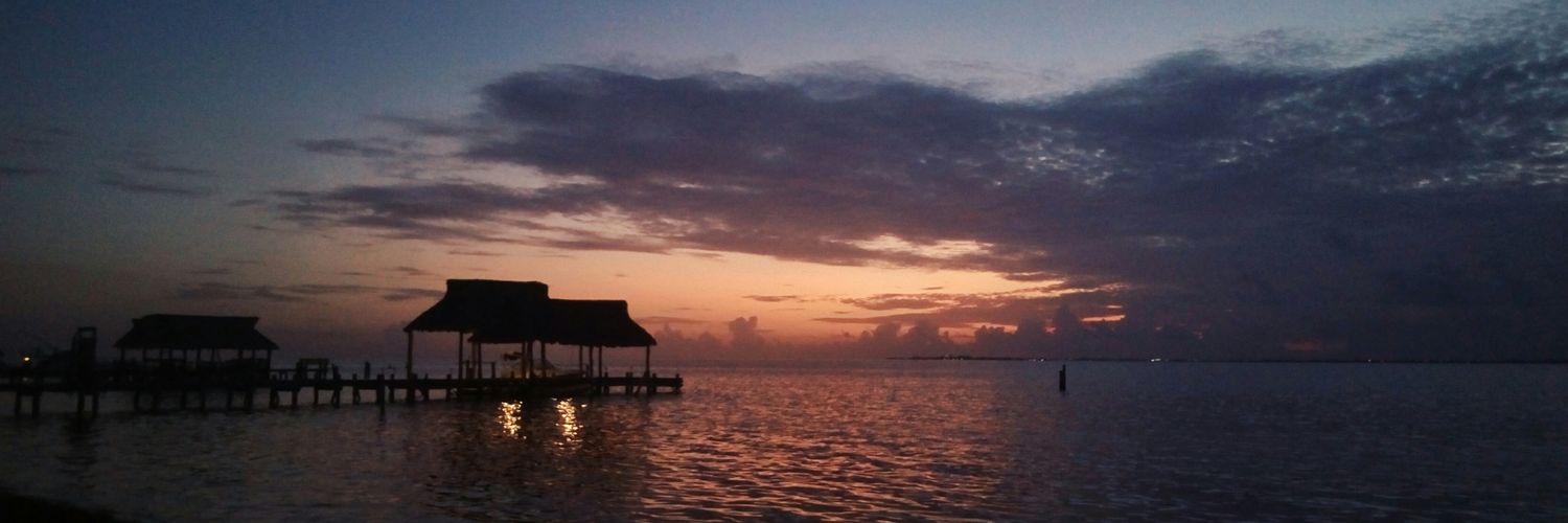 Brengch's profile banner image