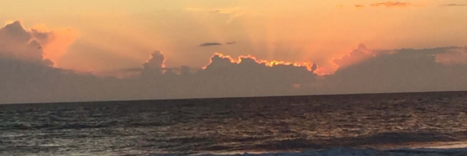 franpradolini's profile banner image
