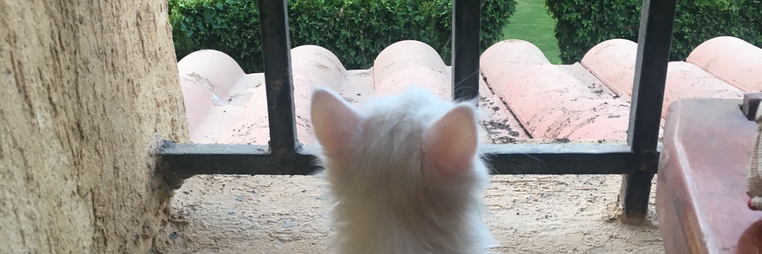 حمدي لادا banner