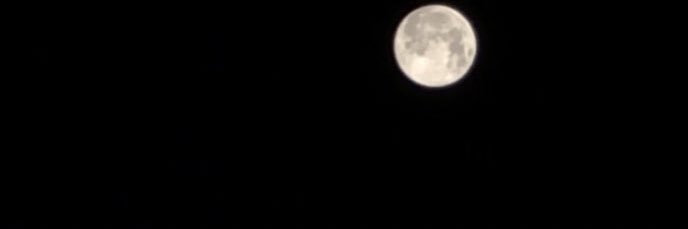 SogBusaidi's profile banner image